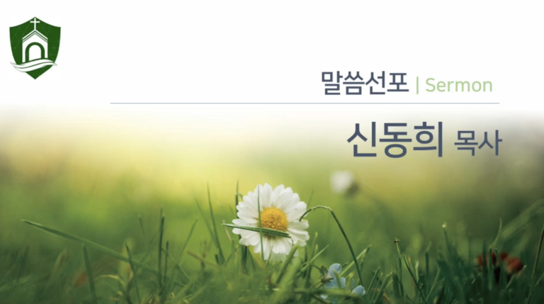 website-image 10